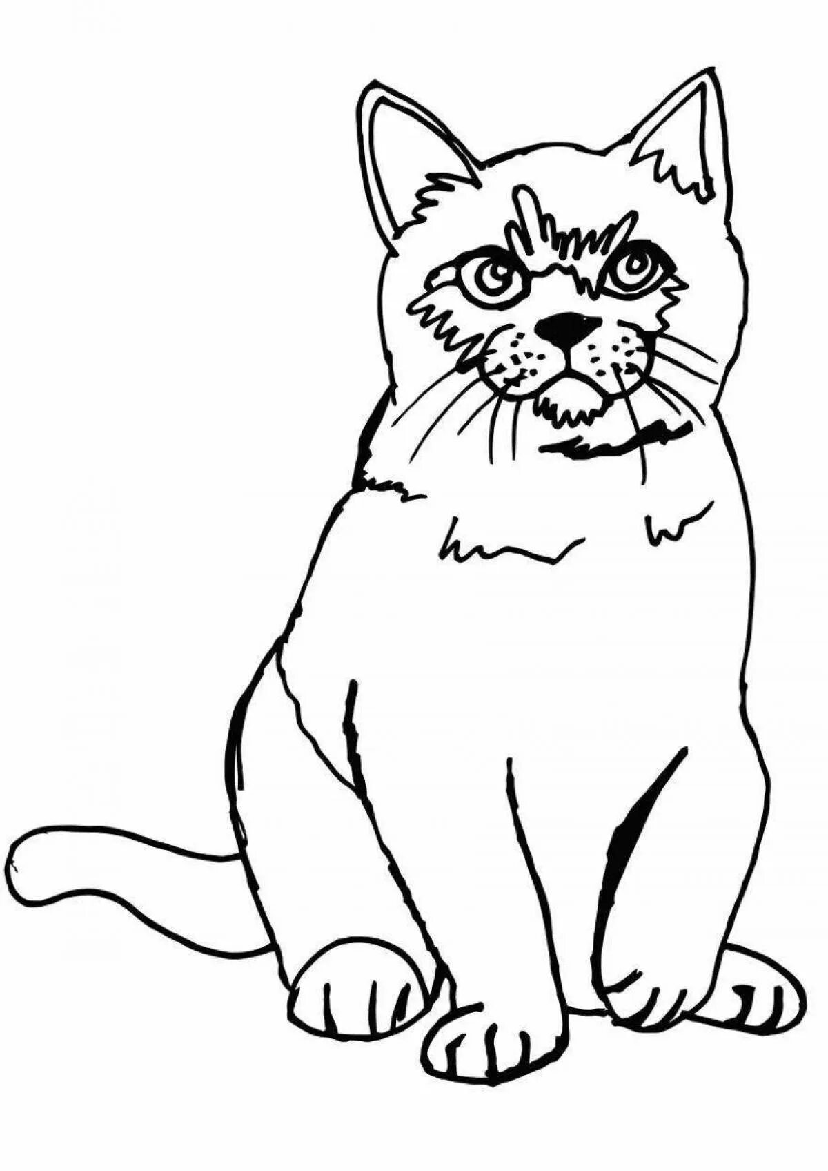 Коты распечатать черно белые