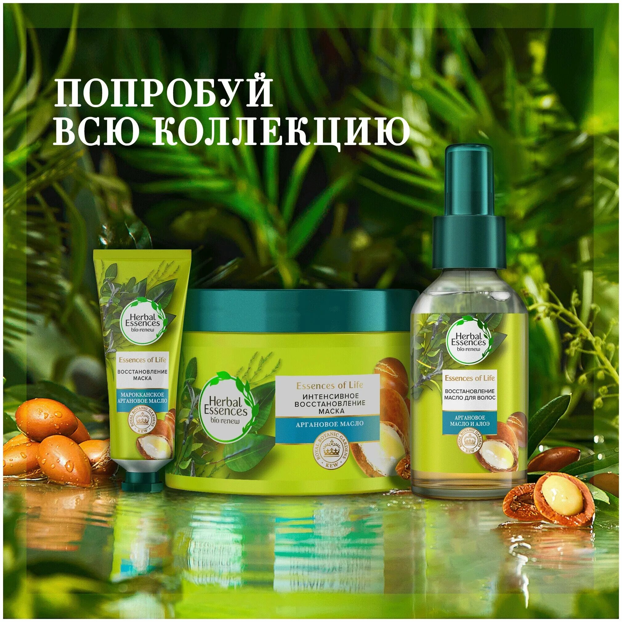 Маска для волос herbal. Маска для волос Herbal Essences марокканское аргановое. Herbal Essences маска для волос марокканское аргановое масло 25мл. Маска Хербал Эссенс марокканское аргановое. Хербал эсенсес маска.