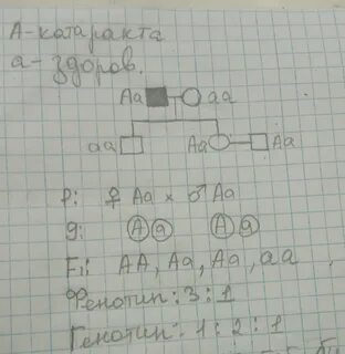 Получилось 75