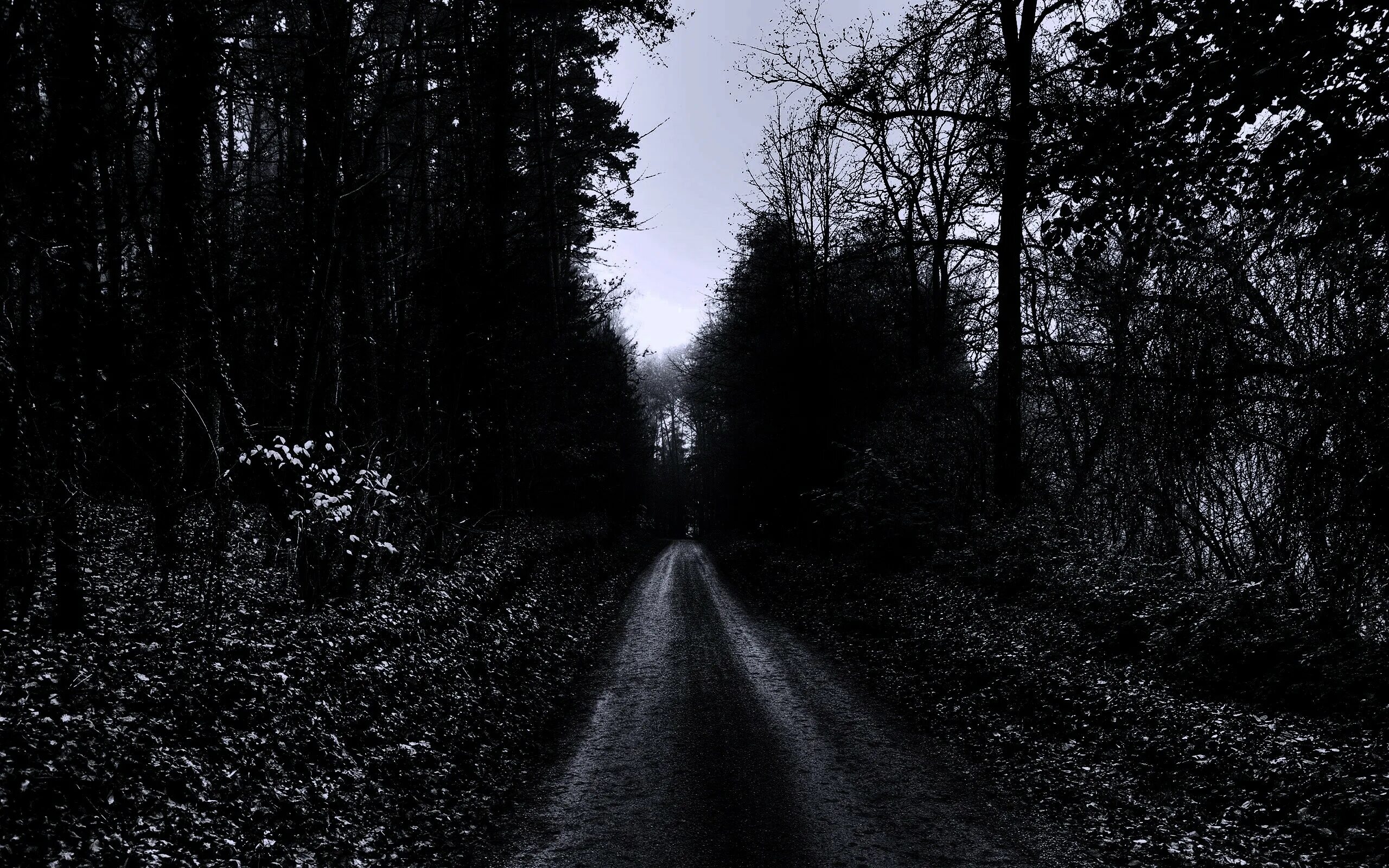 дорога черно белая. правильная стг на дороге. темная дорога неровный. ночная трасса в лесу. мрачная дорога.