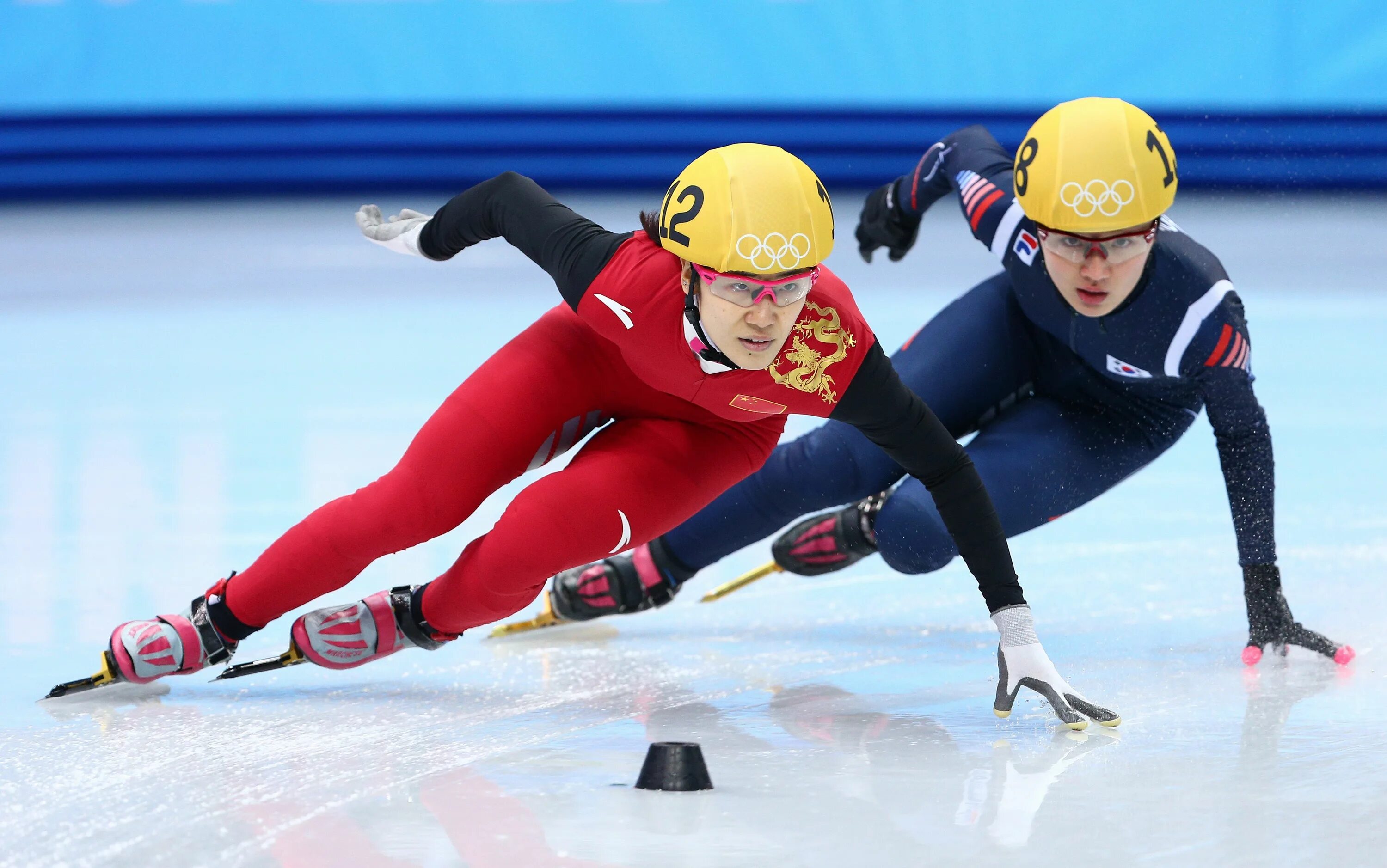 Speed Skating конькобежный спорт. Шорт трек. Шорт трек вид спорта. Коньки для шорт трека.