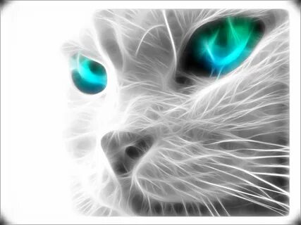 Светящаяся котики