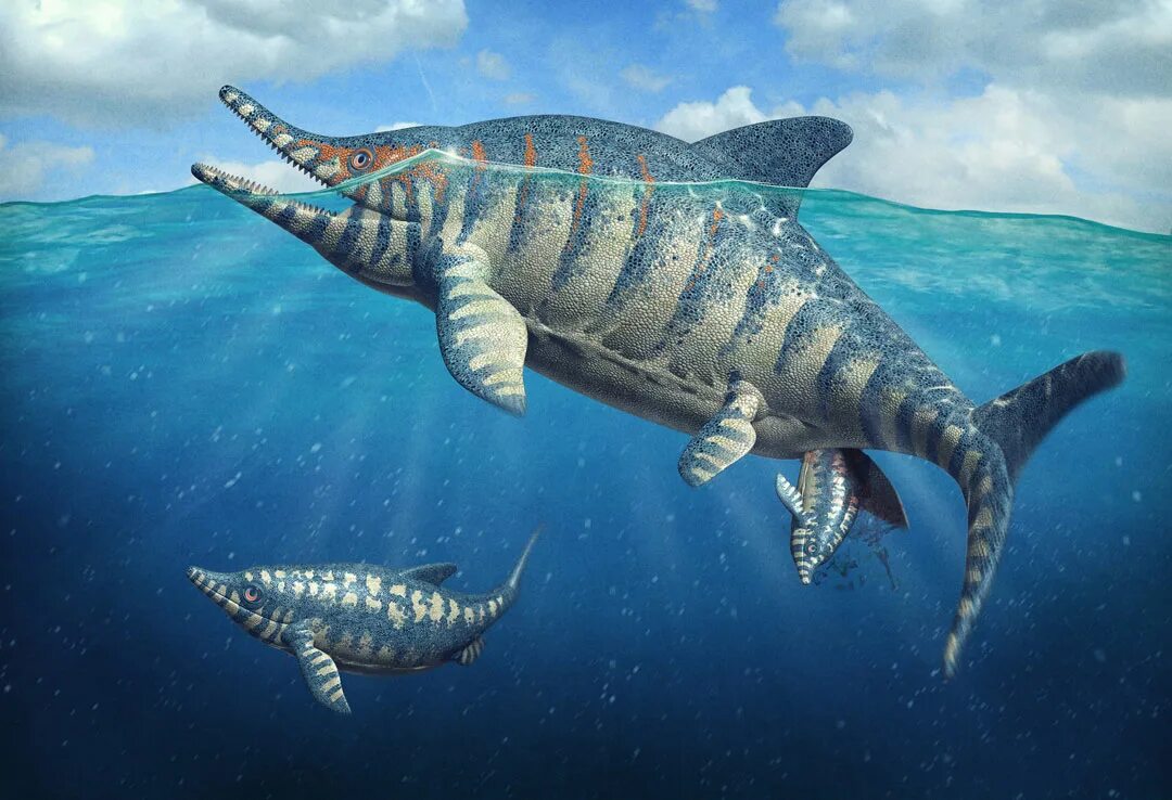 Морской ихтиозавр