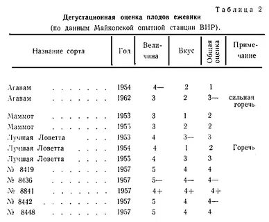 Дегустационная оценка