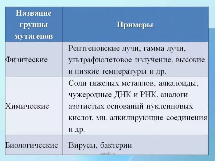 Примером первичной группы является семья Членами первичной группы являются