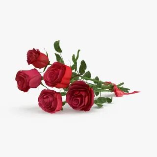 Max rose