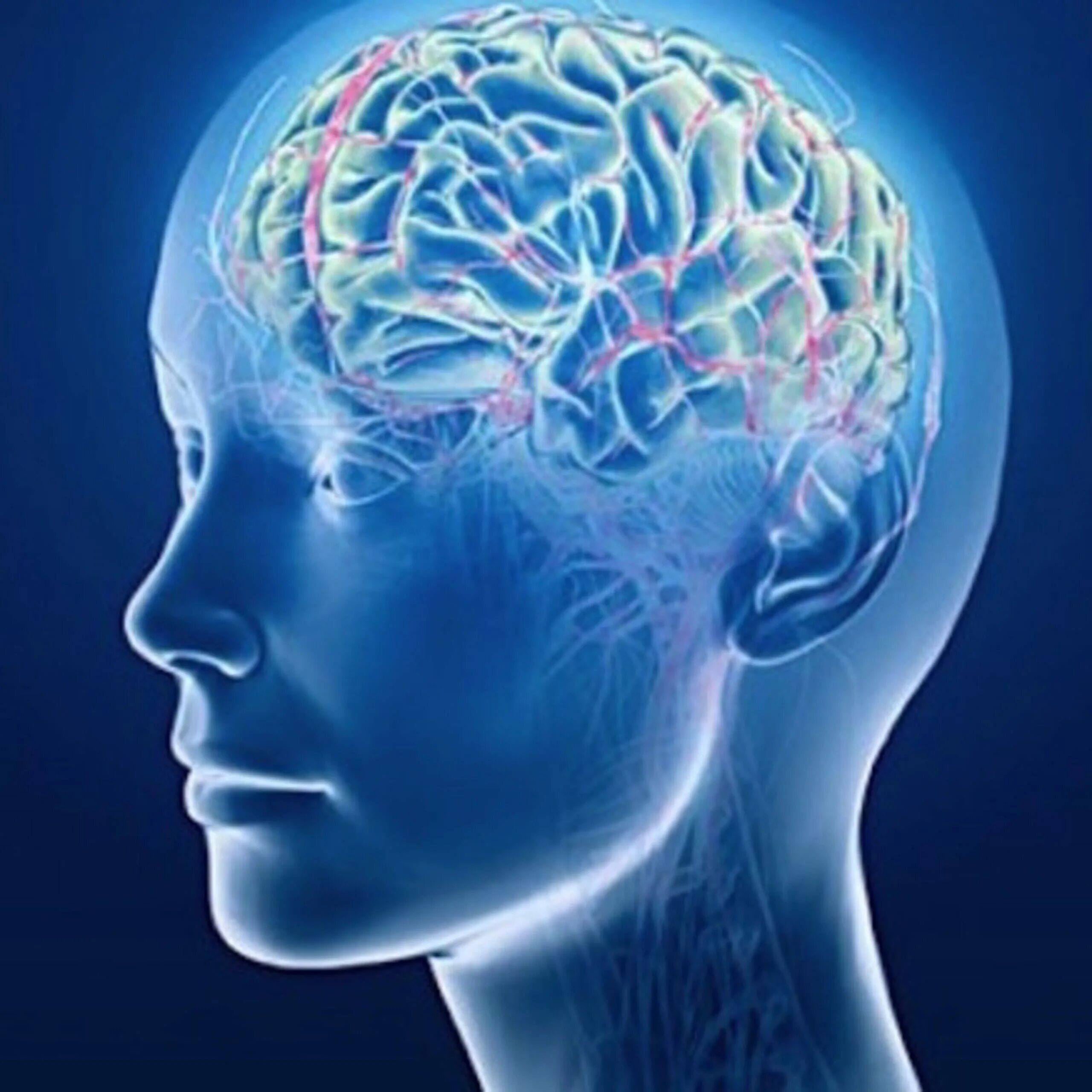 Brain disorder. Память человека. Мозг в голове. Способности мозга.
