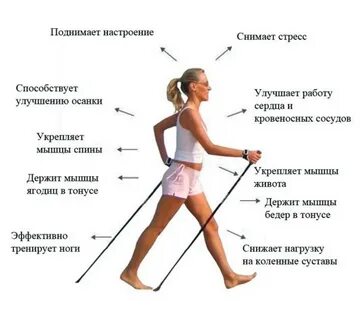В какое время суток лучше заниматься ходьбой
