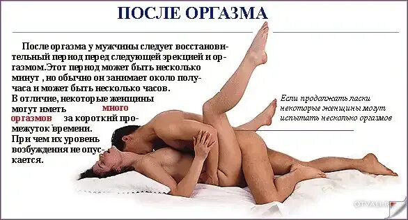 Позы Секса Читать
