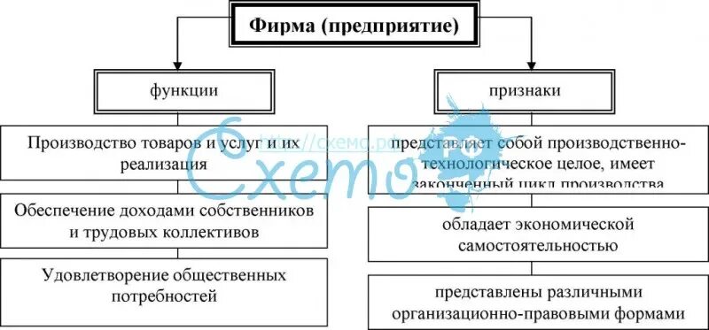 Признаки организации функции организации. Фирма и ее признаки. Функции предприятия фирмы. Понятие цели и функции фирмы. Организация понятие и основные признаки.