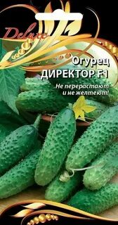 Описание огурцов директор