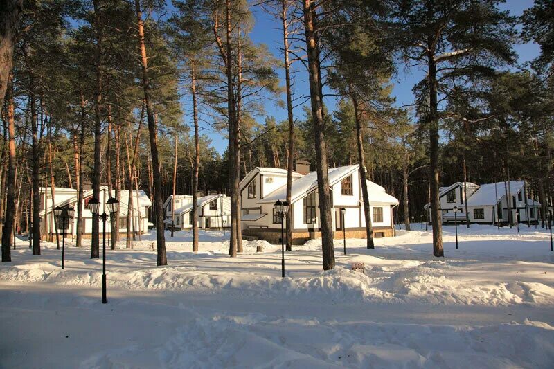 Парк дракино сайт. Дом отдыха дракино. Дракино парк красноярск. Дом отдыха дракино. Парк отель дракино парк красноярск.