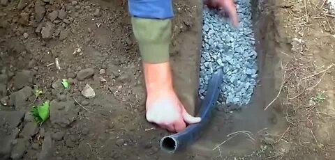 Углубить плодоносить