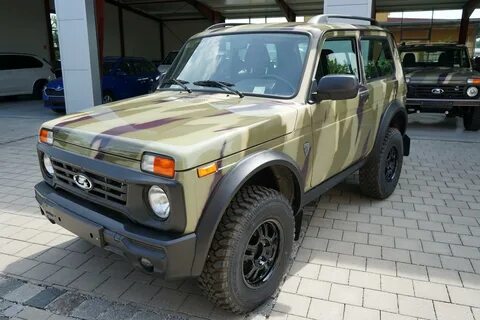 Бронто 2024