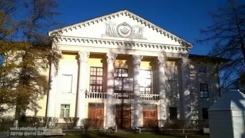 Дк пушкино орехово зуево