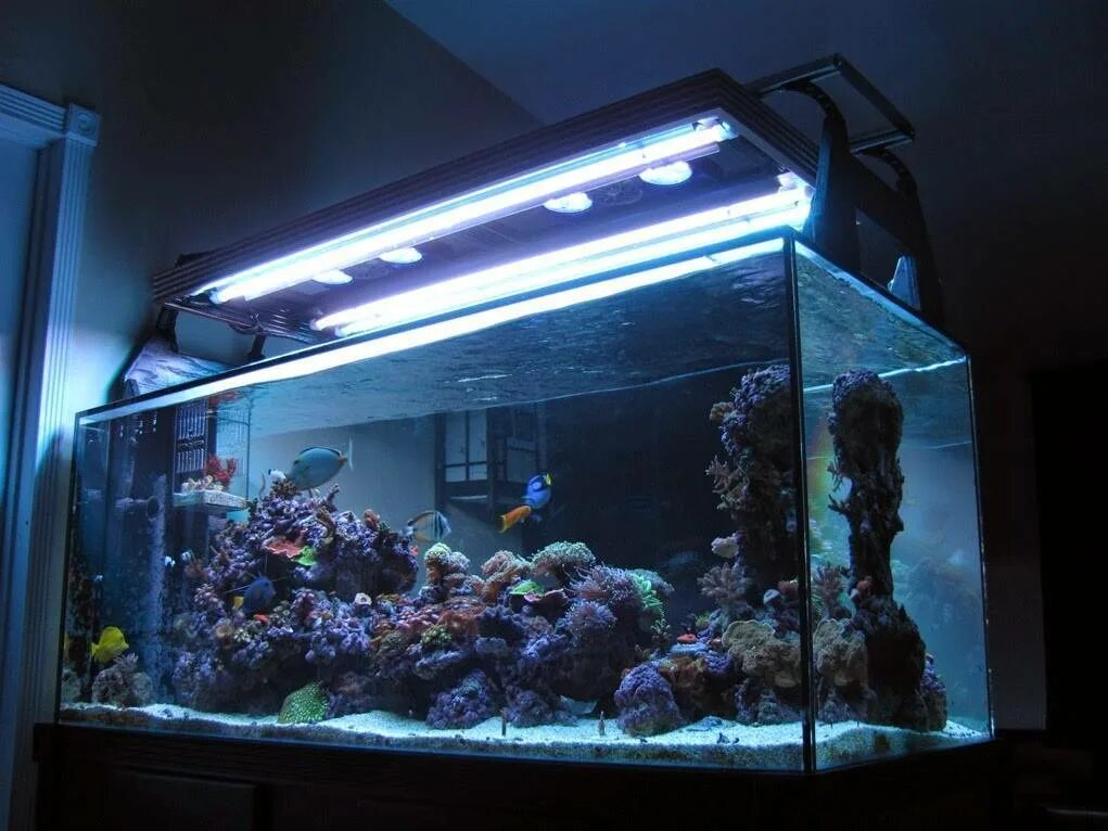 Подсветка для аквариума. Аквариумные лампы. Подсветка аквариума изнутри. Красивая подсветка в аквариум.