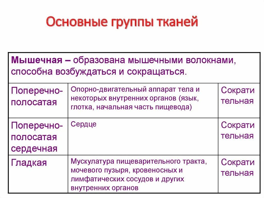 Группа тканей организма человека