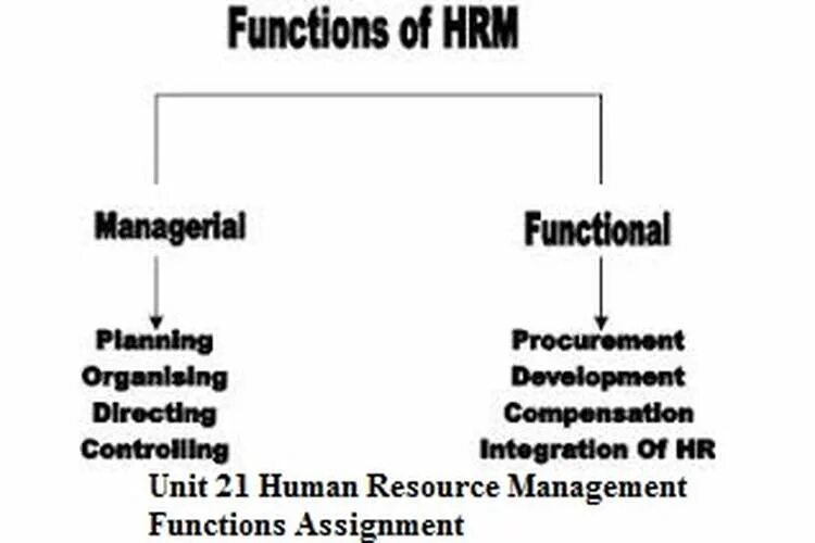 Functions of Human resource Management. HRM functions. HRM (Human resource Management). Manager functions