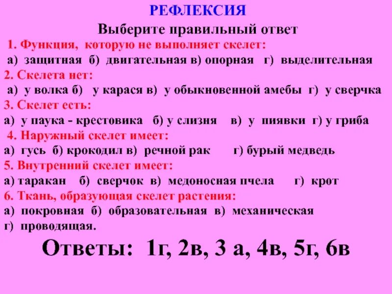 Функция которую не выполняет скелет. Скелет растений 6 класс. Скелет опора организма 6 класс биология конспект. Презентация по биологии 6 класс скелет опора организма.