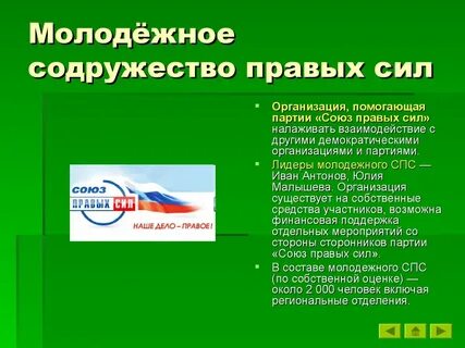Сила молодежная организация