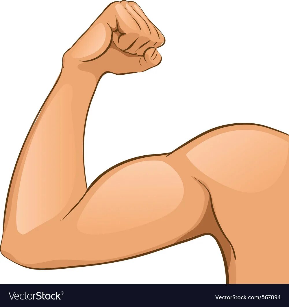 локоть. рука согнута в локте. руки согнуты в локтях. зарядка рывки руками. рука согнутая в локте.