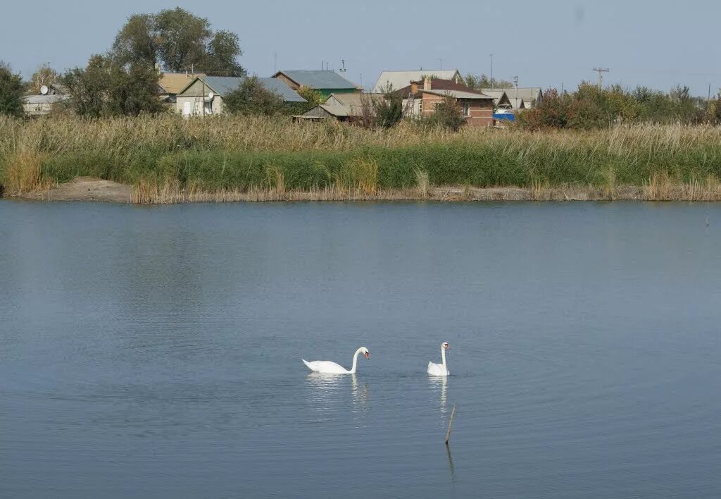 Новоузенске продажа. Новоузенск Саратовская область. Город Новоузенск Саратовской области. Село Алтата Дергачевского района Саратовской области. Дергачи Саратовская область природа.