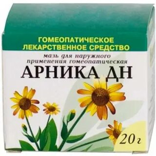 Эхинацея казань