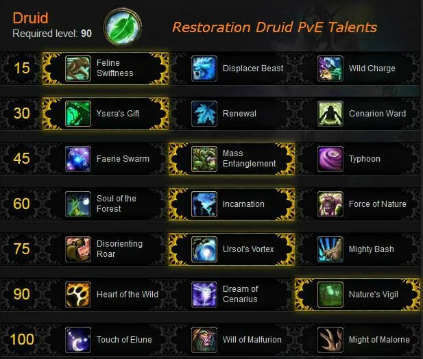 Pve что это