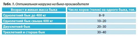 Годовая нагрузка