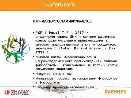 Фактор роста открытие