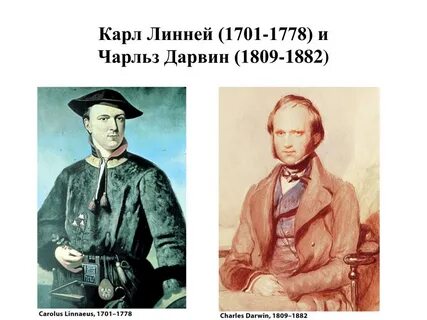 Линней дарвин