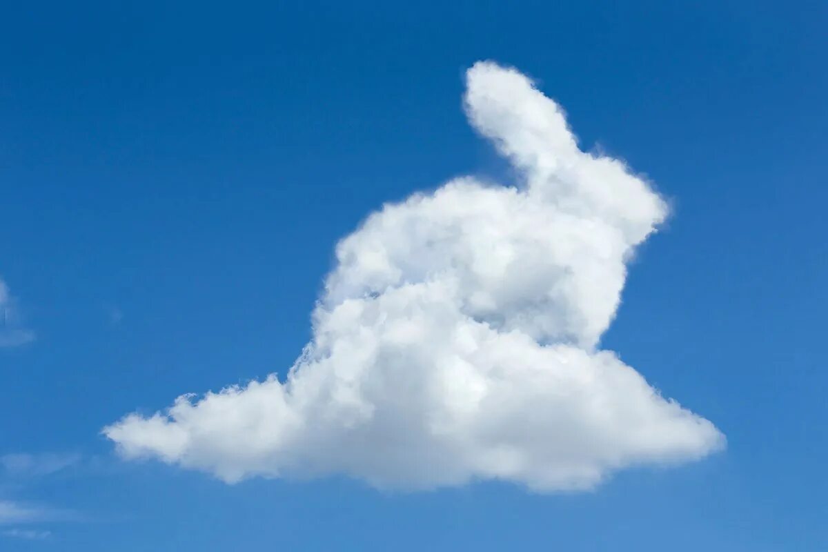 Через какое облако. Облака в виде животных. На что похожи облака. Облака похожие на животных. Фигуры из облаков.