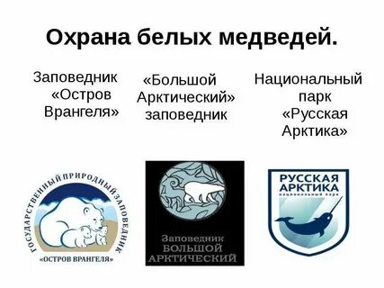 Жизнь и деятельность человека охрана природы арктики