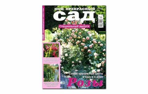 Св сад каталог 2024