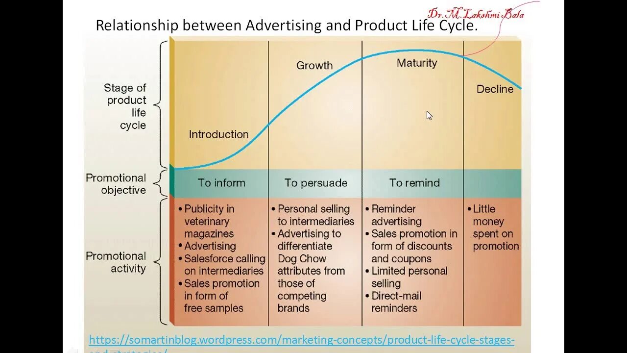 Stages of the life cycle. Product life cycle stages. product life cycle. product lifecycle growth. product development lifecycle.