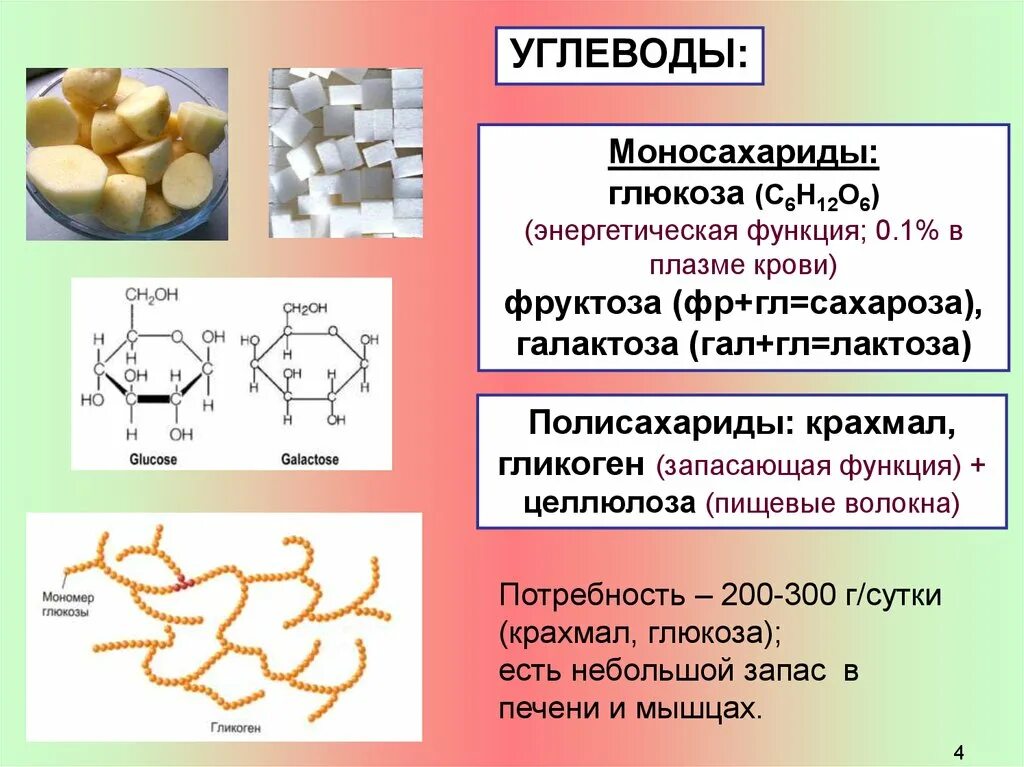 Какую функцию в организме выполняет крахмал. Полисахариды крахмал гликоген Целлюлоза хитин. Углеводы крахмал гликоген Целлюлоза. Глюкоза крахмал гликоген. Гликоген полисахарид.