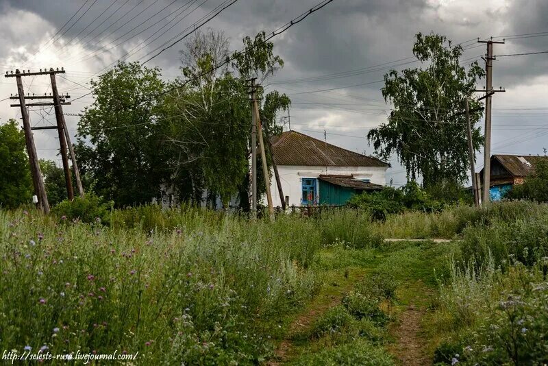 Село зубовка астраханская область. Зубовка астраханская область. Погода зубовка новосибирская. Деревня большая воздвиженка. Зубовка клинцы.