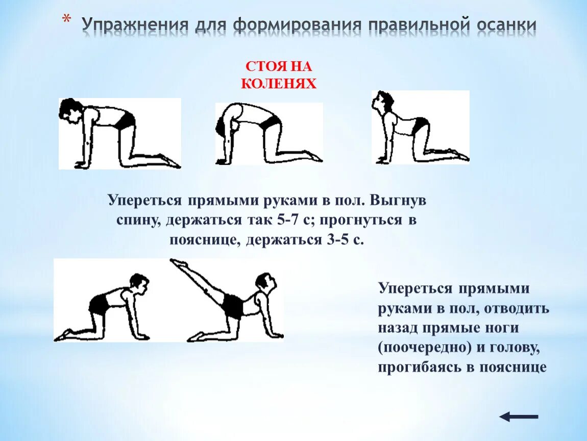 Правильная осанка формируется под влиянием физических упражнений. Упражнения для осанки. упражнения для формирования осанки. упражнения для формирования правильной осанки стоя. пять упражнений для формирования правильной осанки..