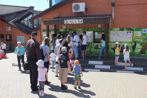 Касса ижевск