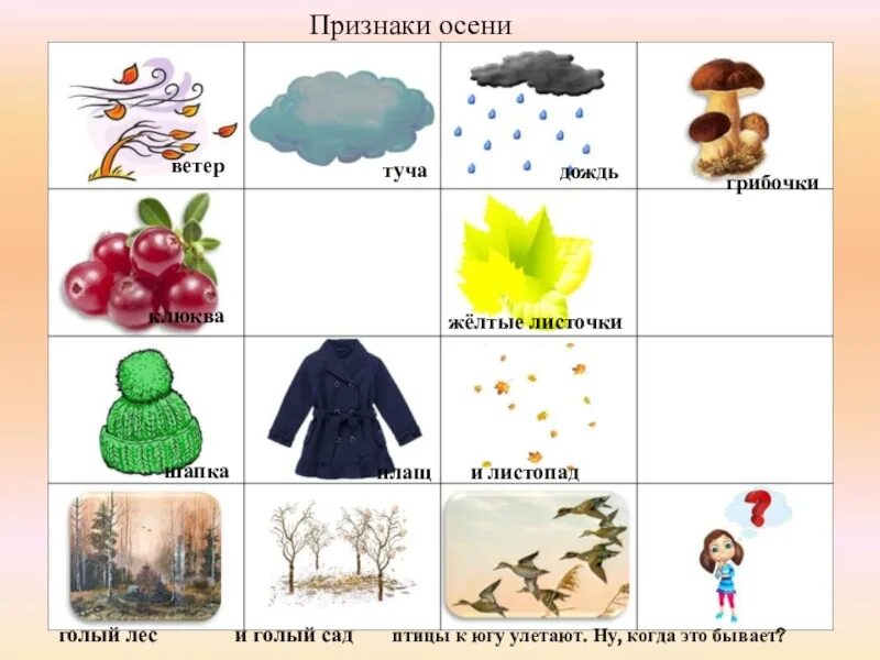 Времена года иллюстрации. Лето для дошкольников. Признаки осени картинки для детей в детском саду. Окружающий мир признаки осени старшая группа. Окружающий мир признаки осени старшая группа.