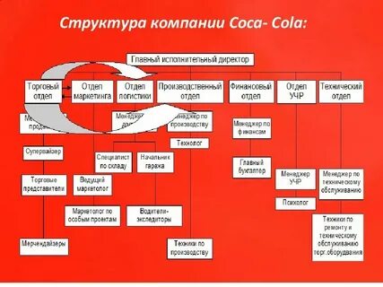 Общая структура организации это