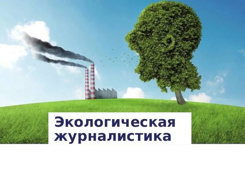 Экологическая журналистика. Детская экожурналистика. Экожурналистика. Экологическая журналистика. Экожурналистика программа дополнительного образования.