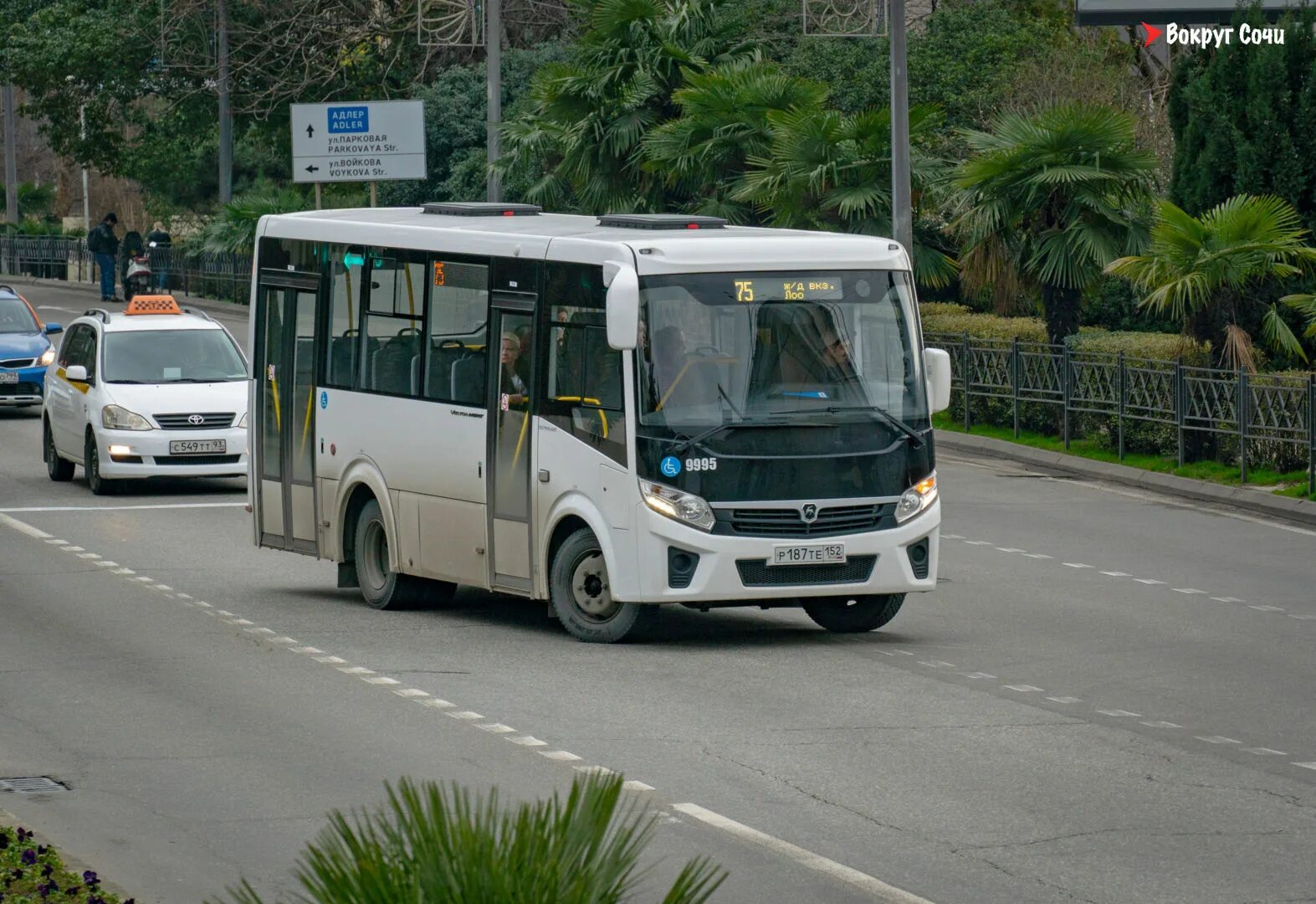 551 Автобус Сочи Адлер. Автобус 50 Сочи. Автобусы Сочи и маршрутки. 551 Автобус Адлер. Сайт автобусов сочи