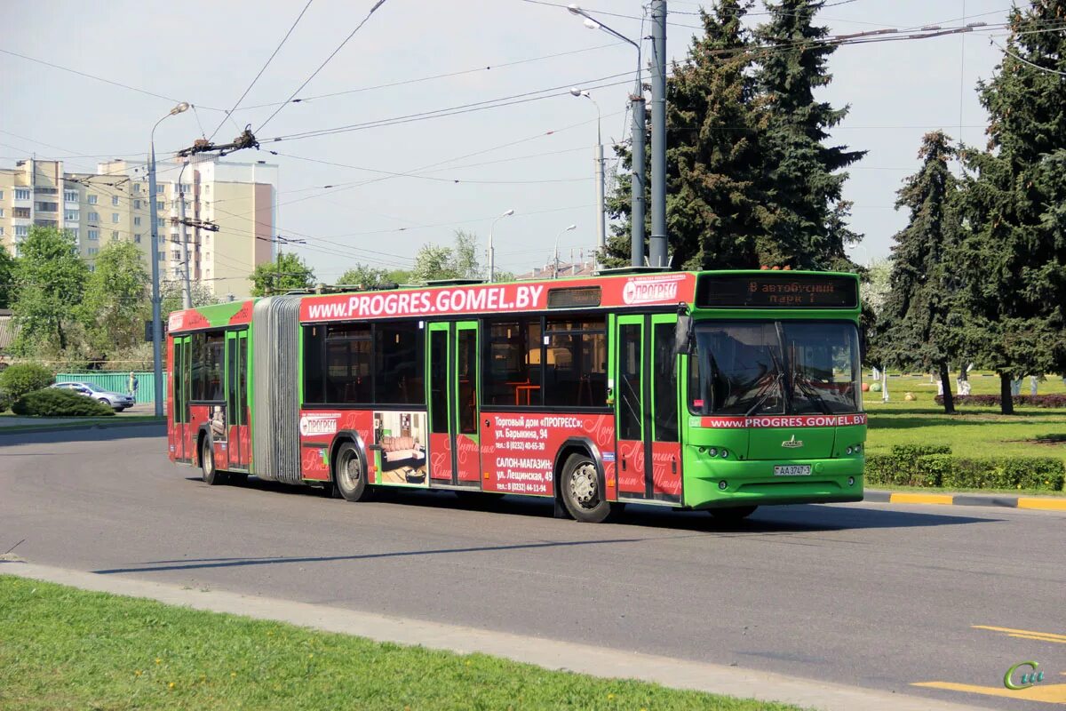 Мазы гомеля