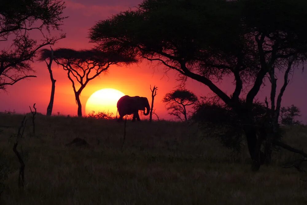 Находится в восточной африке. Восточная Африка Танзания. Кения Африка. Сафари Юго-Восточная Африка.