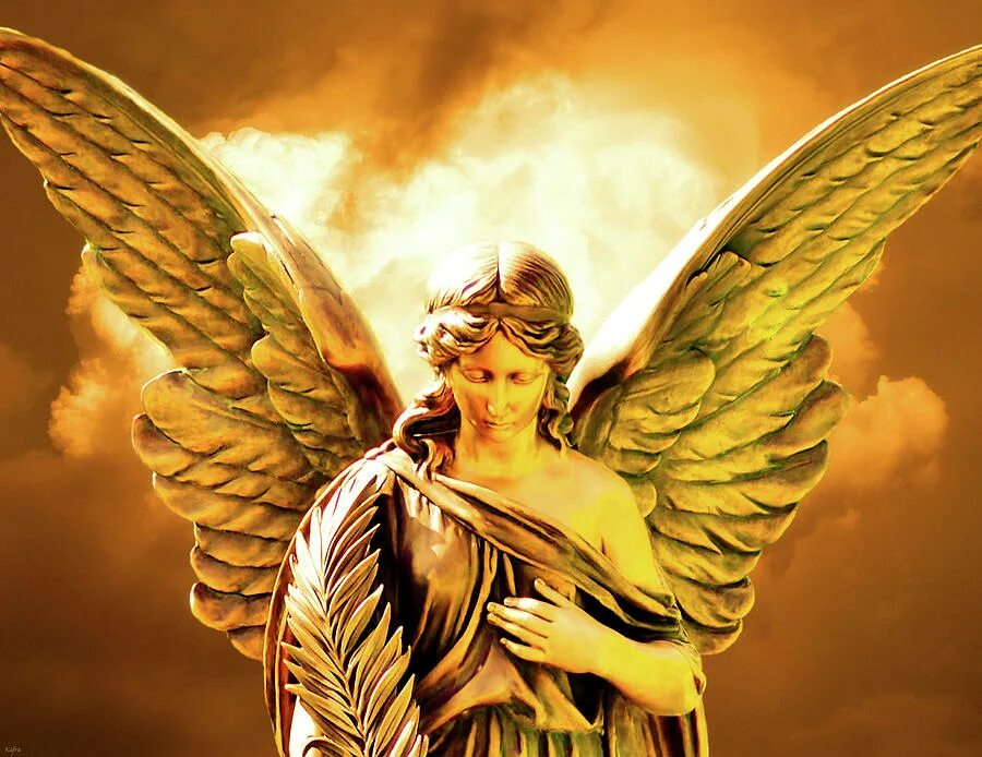 золотые крылья. золотой ангел фото. золотой ангел. ангел. ооо золотые ангелы.