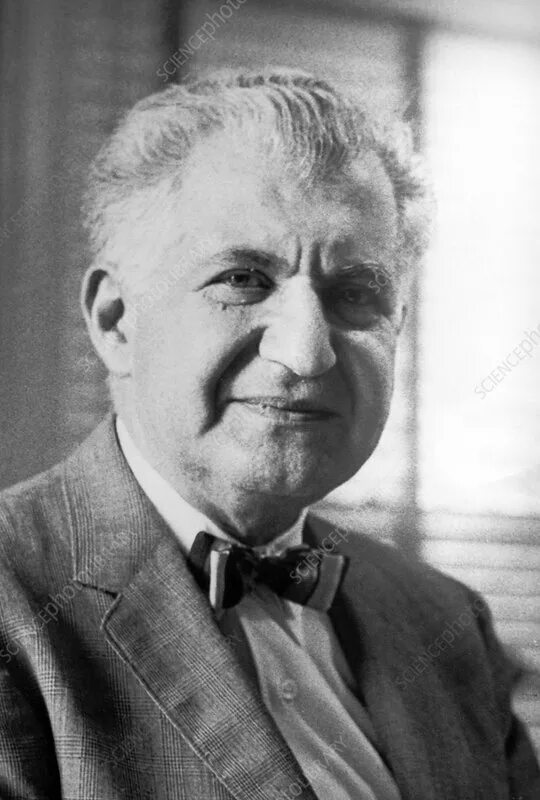 Подольск, улица беляевская, 86б. Кирова 39 подольск. Триумф, подольск, улица кирова, 39б. Б подольский. Б подольский.