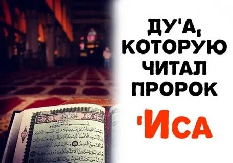 Прочесть пророков