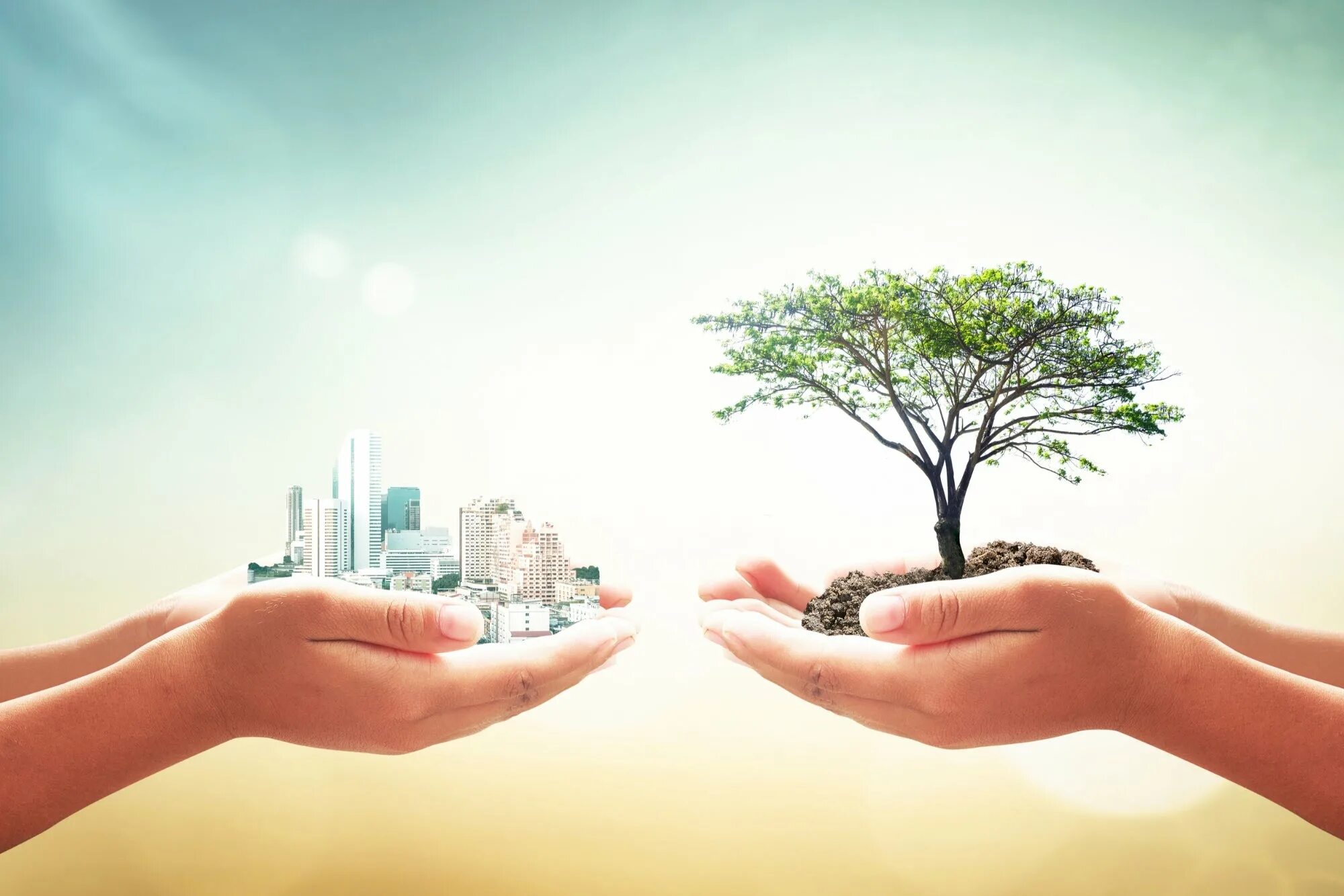 Healthy environment