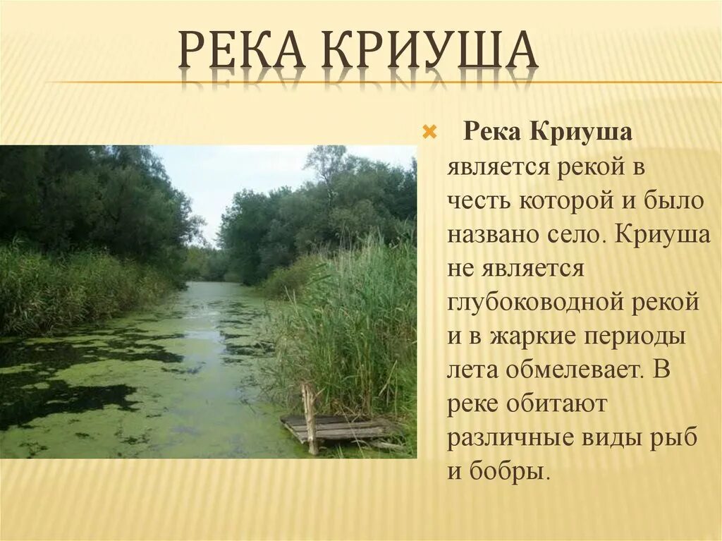 Город названный в честь реки. Новая Криуша Воронежская область река. Река Криуша. Река в Криуше. Река Криуша Елабуга.